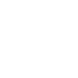 Fitness / Performance
